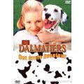Dalmatiers - het...
