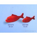 Schildkröt Fish...
