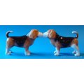 Mwah! Beagle Dogs...
