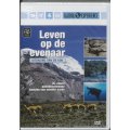 Leven op de evena...