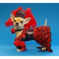 Aye Chihuahua Chi...