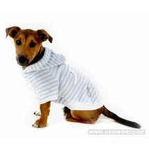 Lush Velour Dog Hoodie