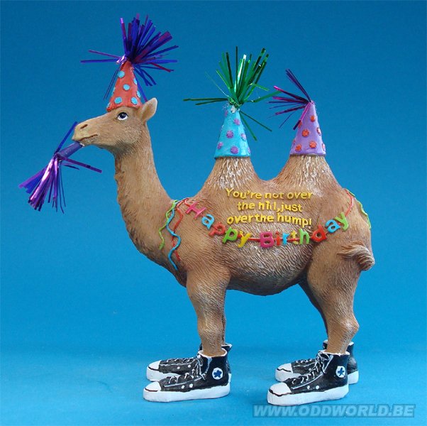 drei singende Kamele three singing camels Ansichtskarte:Happy Birthday to you 