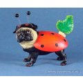 Pugnacious Mopshond Lady Pug Lieveheersbeestje Hond Beeld