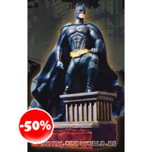 Batman Begins Batman On Rooftop Beeld