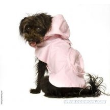 Hond Jas